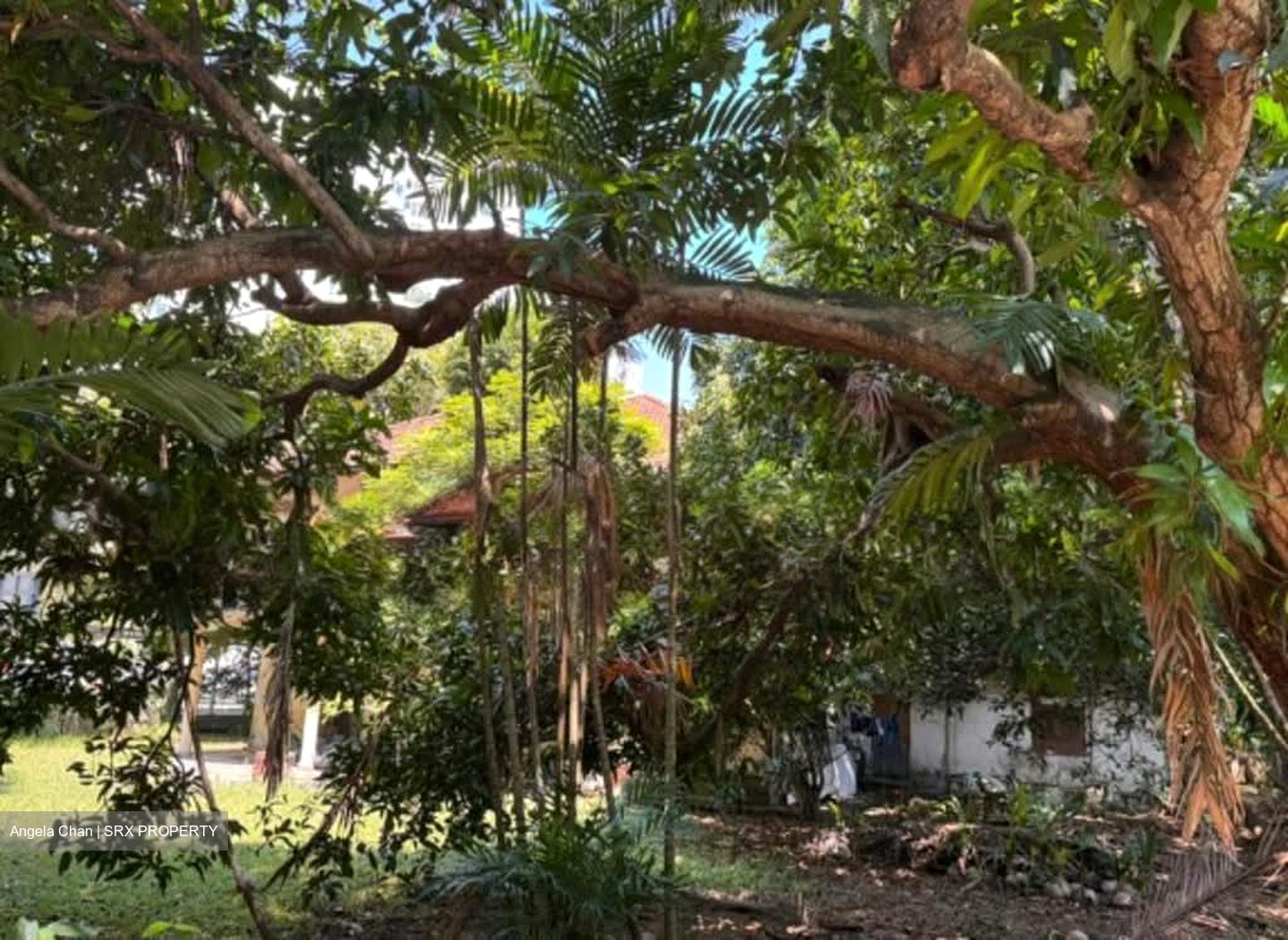 Tanjong Rhu Road (D15),  #586589531